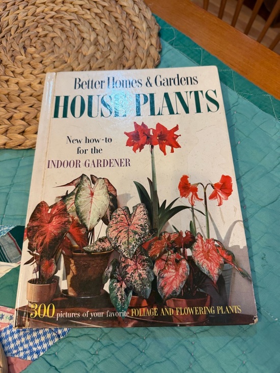 Better Homes And Gardens Other - Better Homes And Gardens House Plants Book vintage